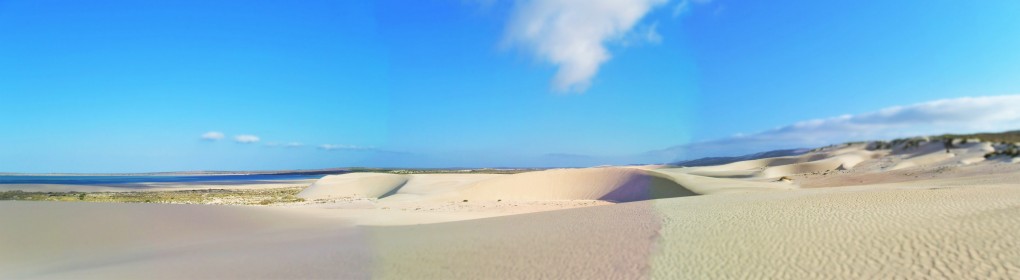 Panorama of Our Sand boarding Dune