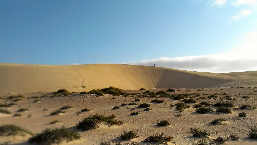 Perfect Dune
